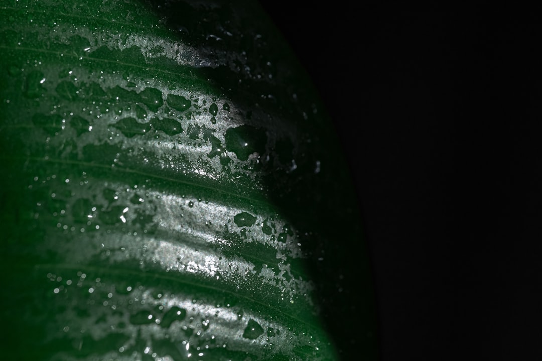 綠騎士持久噴劑使用前必讀！皮膚破損與糖尿病神經敏感者請留意這些關鍵細節