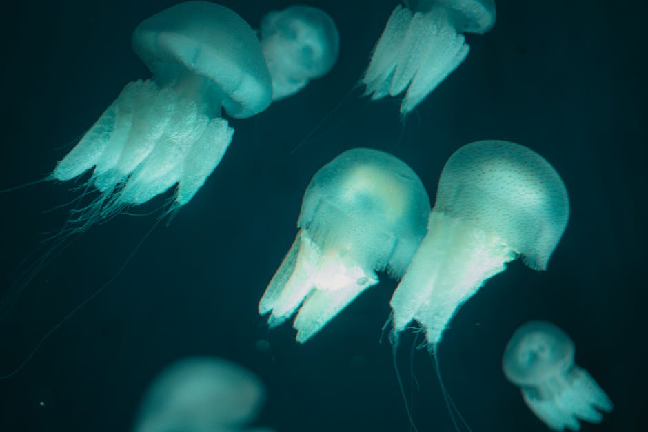 Captivating blue jellyfish gracefully floating in a serene underwater setting.