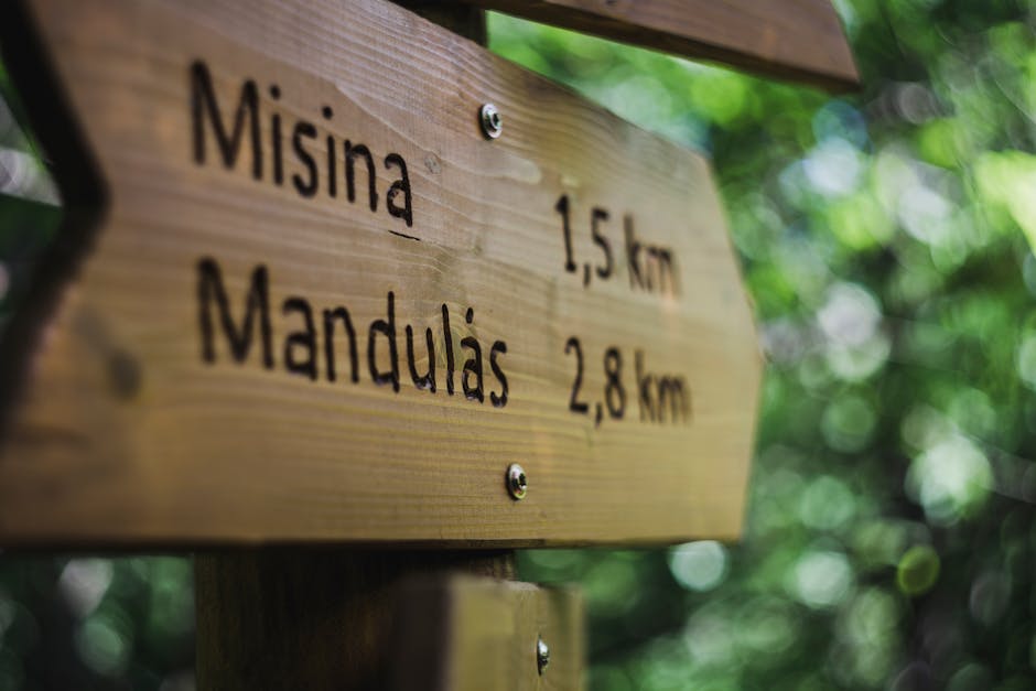 Close-up of a wooden hiking sign with bokeh effect in the forest.