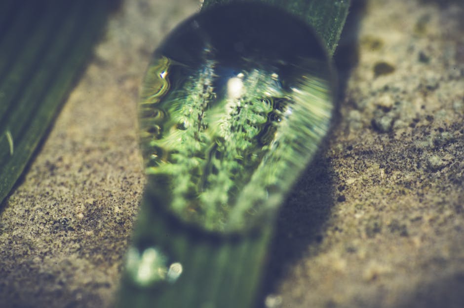 Close-up macro photograph showing a water droplet on a green leaf, enhancing its texture.